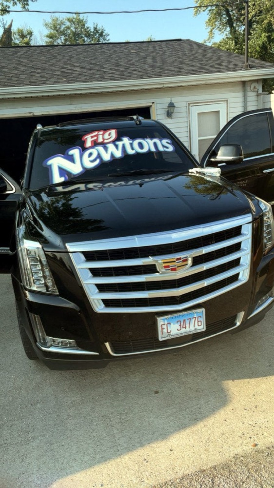 Vehicle Graphics